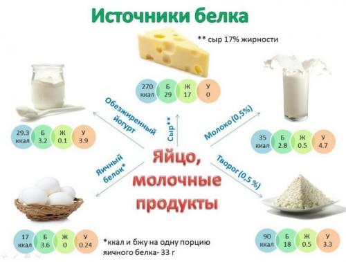 В каких продуктах нет белка перечисление. Какие продукты содержат белок в большом количестве  